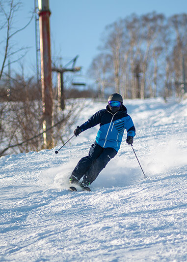 Seshu - Skiiing schools